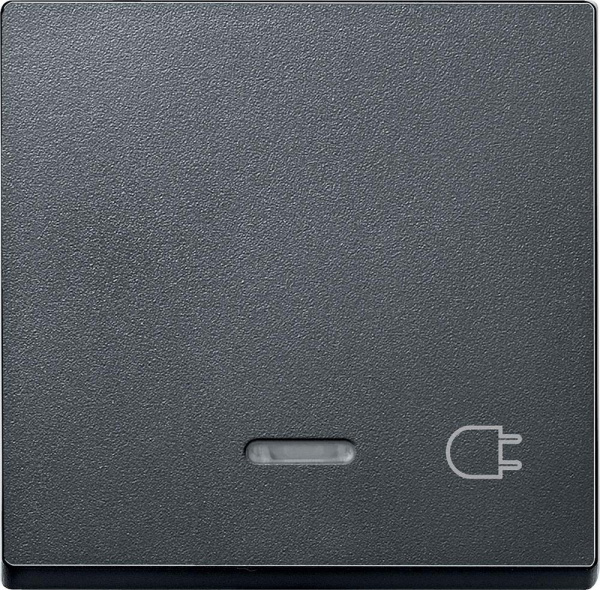 Купить SE Merten SM Клавиша со световой индикацией, «гнездо» (MTN431714)