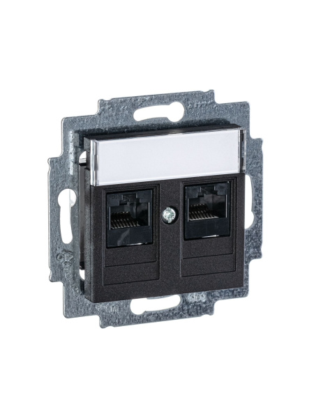 Купить ABB EPJ Levit антрацит / дымчатый чёрный Розетка компьютерная, 2хRJ45 кат,5e, антрацит 2CHH295118A6063