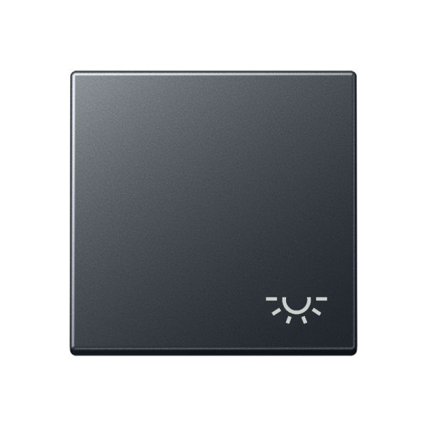 JUNG Матовый Антрацит Клавиша; с символом освещение; термопласт A590BFLANM