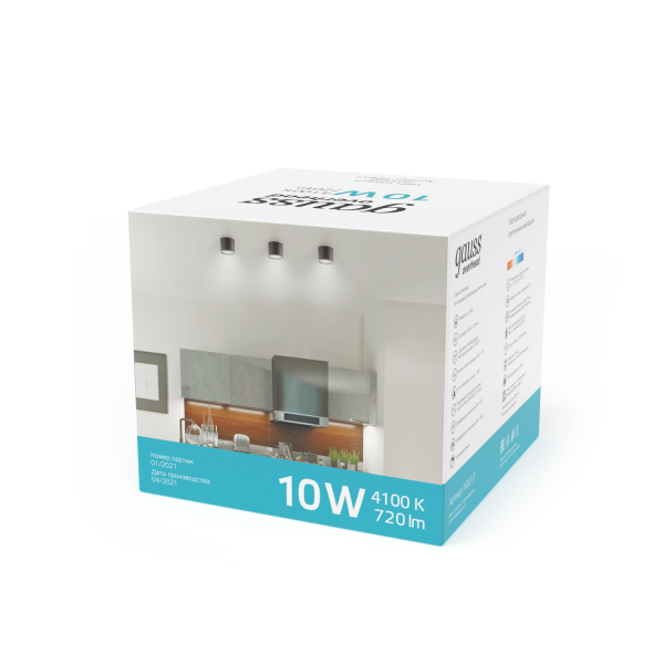 Купить Gauss Светильник Overhead накл цил 10W 720lm 4100K 170-240V IP20 88*75мм черный с расс LED HD017