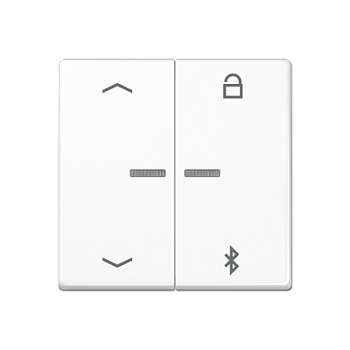 JUNG Таймер универсальный Bluetooth «стрелки», белый AS1751PBTWW