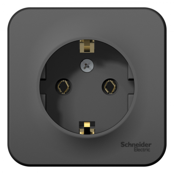 Systeme Electric Blanca наруж Антрацит Розетка с/з без шторок, 16А, 250В