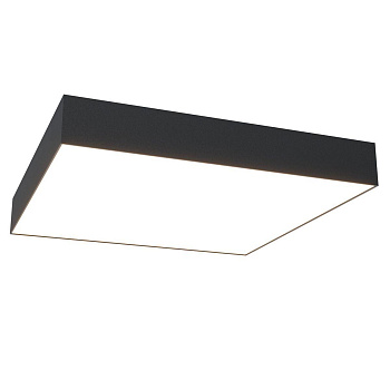 Maytoni Ceiling & Wall Черный Потолочный светильник C067CL-L48B4K