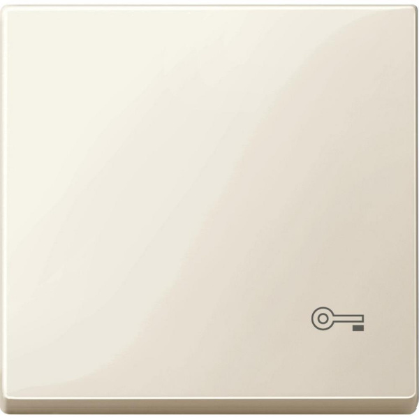 SE Merten SM Алюминий Клавиша с пиктограммой «ключ» (MTN3303-0344)