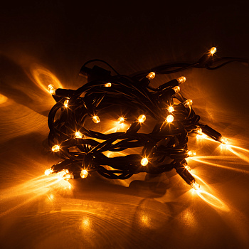 ЭРА Гирлянда ERAPS-NZ1 светодиодная новогодняя уличная нить 3 м желтая 30LED