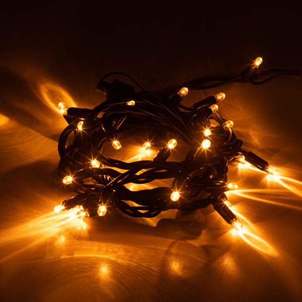 ЭРА Гирлянда ERAPS-NZ1 светодиодная новогодняя уличная нить 3 м желтая 30LED