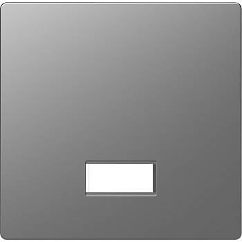 SE Merten D-Life Нержавеющая Сталь Клавиша с полем для символа MTN3350-6036