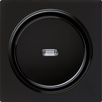 Gira Клавиша с подсветкой 029047