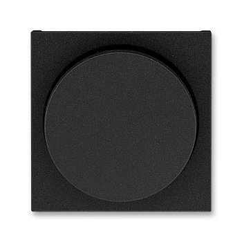 ABB EPJ Levit антрацит / дымчатый чёрный Накладка для светорегулятора поворотного 2CHH940123A4063
