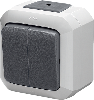 ABB Variant+ Серый Выключатель двухклавишный, IP54 2CHN580551C4517