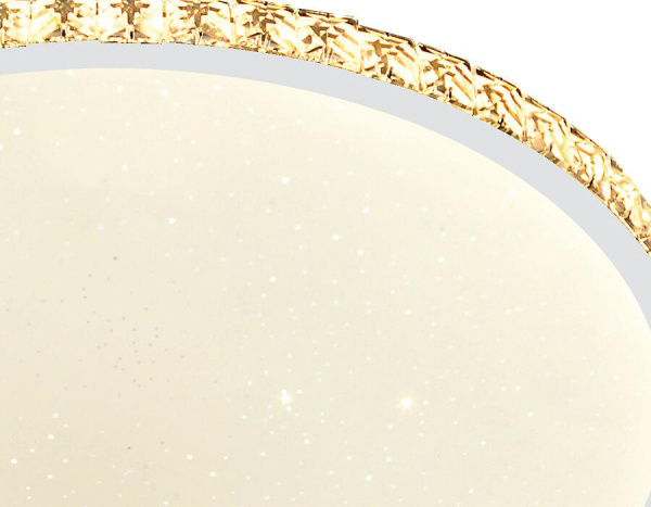 Купить Ambrella Потолочный светодиодный светильник с пультом FF70 WH белый 48W+20W D400*60 (ПДУ ИК)