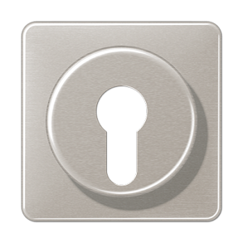 JUNG Крышка для выключателя с замком платина CD528PT