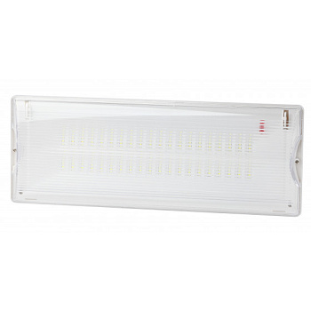 ЭРА Аварийный светильник светодиодный DPA-301-1-65 постоянный 40LED 3ч IP65 NiCD