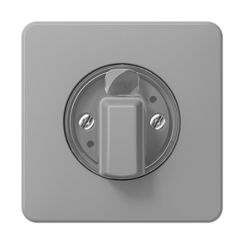 JUNG Накладка поворотного механизма серая CD1541GR