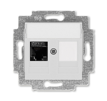 ABB EPJ Levit серый / белый Розетка компьютерная RJ45 кат,6+заглушка, серый 2CHH296117A6016
