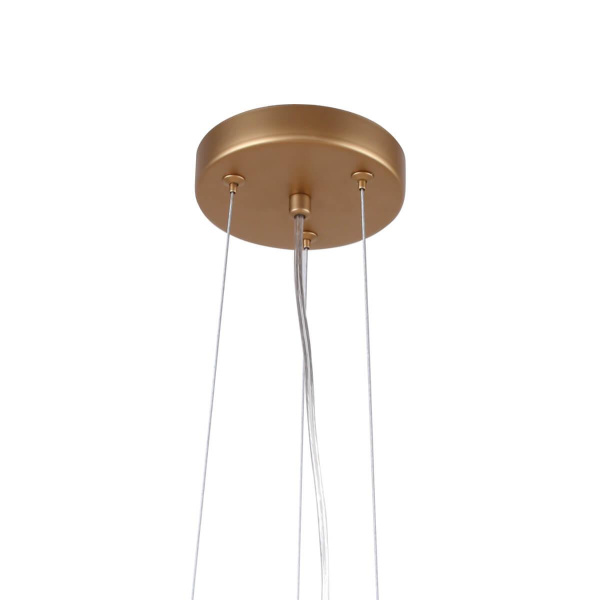 Купить Favourite 2515-10P, Люстра подвесная, D680xH380/1100, 10xG9x40W, excluded