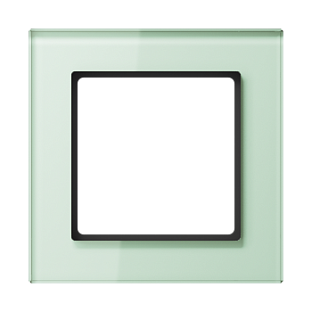 JUNG A creation Стекло Матовое Рамка 1-ая AC581GLWMT