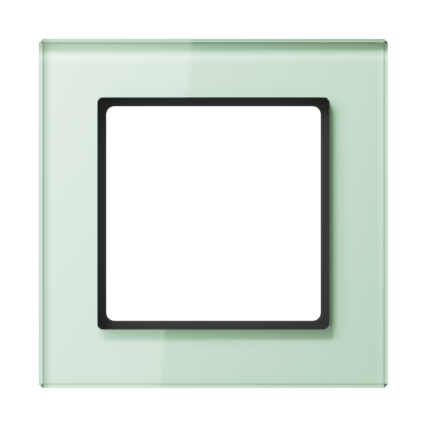 JUNG A creation Стекло Матовое Рамка 1-ая AC581GLWMT