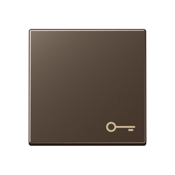 JUNG Клавиша с символом "замок" мокка A590TMO