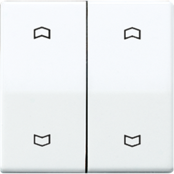 JUNG Клавиши для кнопки BCU белые AS591-5MPWW