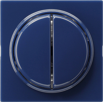 Gira Кнопочный 2-клавю переключатель 2- местн 012846