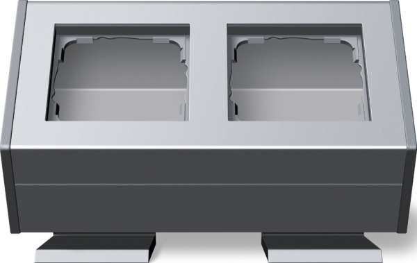 Gira Профиль 55 с углом крепления, 2-ная 119226