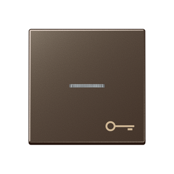 JUNG Клавиша для контрольного выключателя со знаком ключ мокка A590KO5TMO