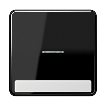 JUNG CD 500/CD plus Черная Клавиша 1-ая с/п с полем для надписи CD590NAKO5SW