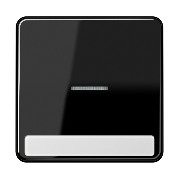 JUNG CD 500/CD plus Черная Клавиша 1-ая с/п с полем для надписи CD590NAKO5SW