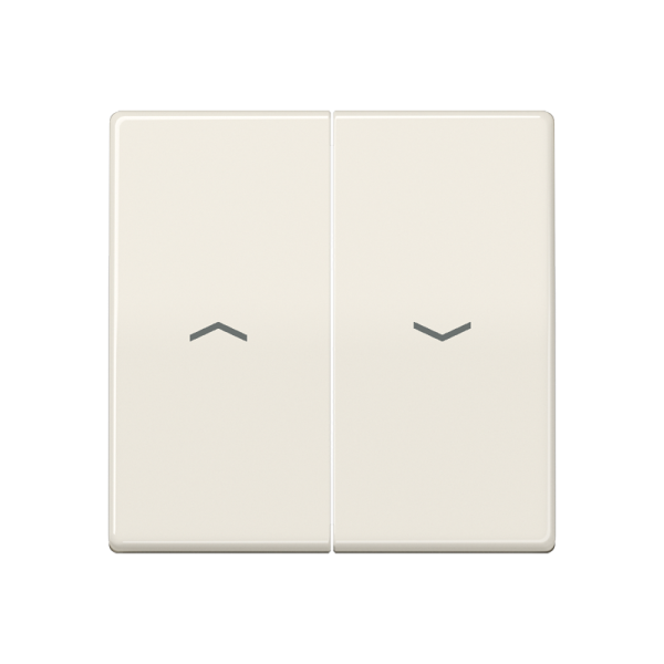 JUNG AS 500 Бежевая Клавиша 2-ая жалюзийная антибактериальная ABAS591-5P