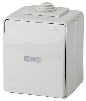 ЭРА 11-1610-03 Эксперт Серый Переключатель 1-кл с подсветкой ОУ IP65