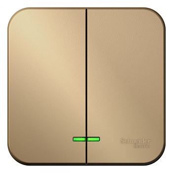 Systeme Electric Blanca наруж Титан Выключатель 2-клавишный с подсветкой 10А,250B, изолир. пластина