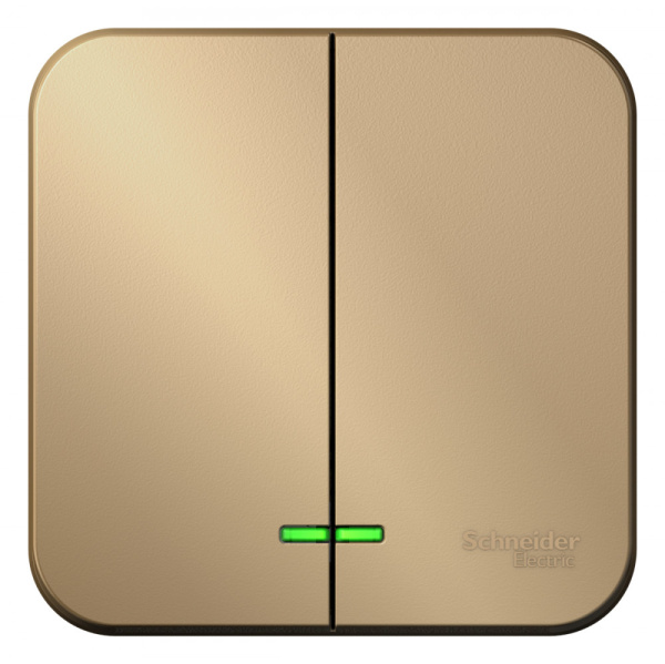 Systeme Electric Blanca наруж Титан Выключатель 2-клавишный с подсветкой 10А,250B, изолир. пластина