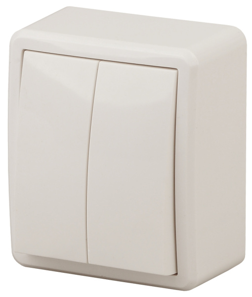 ЭРА 11-1205-02 Эксперт Сл.кость Выключатель 2-кл с подсветкой ОУ