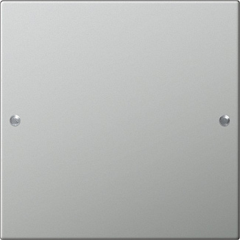 Gira Комплект клавиш, 1 шт. 2131601