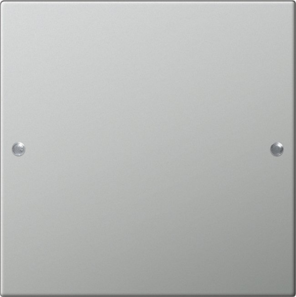 Gira Комплект клавиш, 1 шт. 2131601