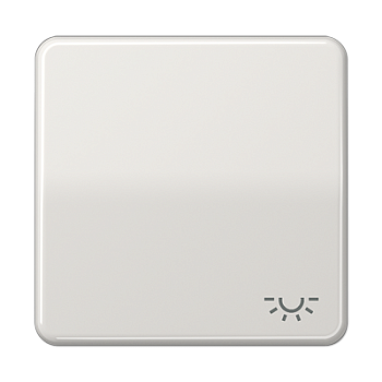 JUNG CD 500/CD plus Светло-серая Клавиша 1-ая с символом ОСВЕЩЕНИЕ CD590LLG