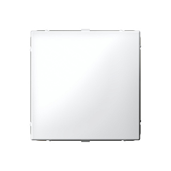 Systeme Electric ArtGallery Лотос Заглушка без суппорта для многопостовых рамок