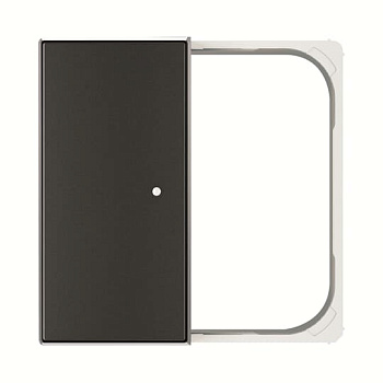 ABB SKY SR-2-85NS Клавиша двойная free@home черный бархат 2CLA852640A1501