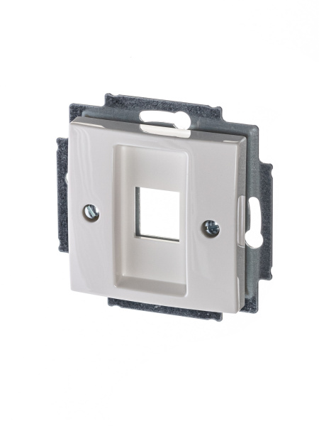 ABB BJB Basic 55 Бел Плата центральная  1-я для коммуникац розеток 0210, 0211 и 0219 2CKA001753A0213