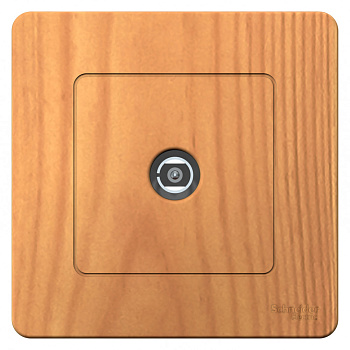 Systeme Electric Blanca внутр Ясень Розетка TV