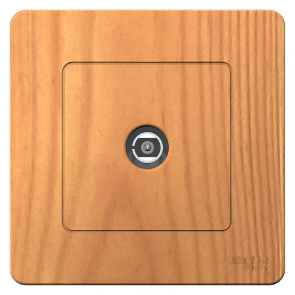 Systeme Electric Blanca внутр Ясень Розетка TV