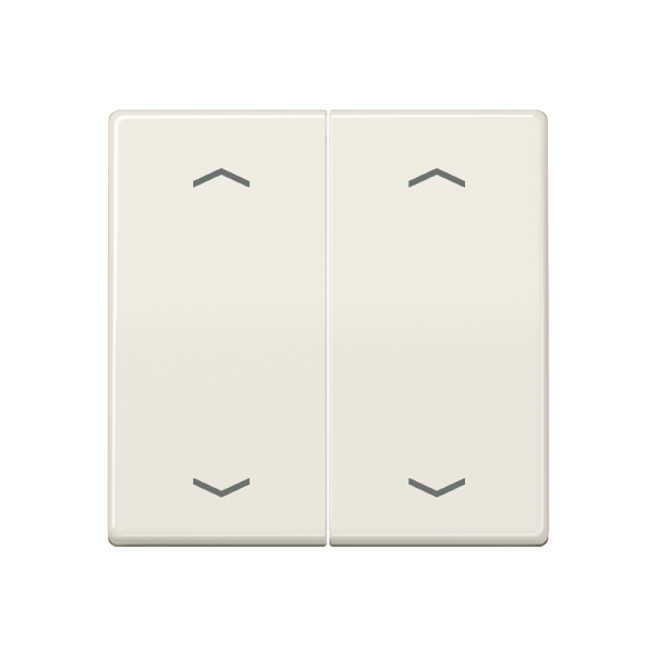 JUNG Клавиши для кнопки BCU слоновая кость AS591-5MP