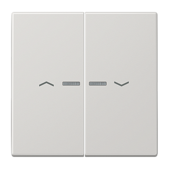 JUNG Клавиши для сдвоенной кнопки BCU светло-серые LS995KO5PLG