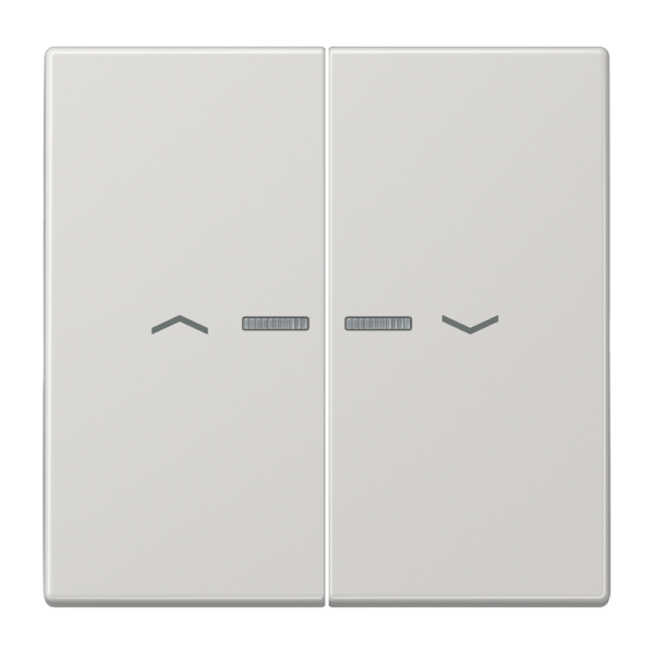 JUNG Клавиши для сдвоенной кнопки BCU светло-серые LS995KO5PLG