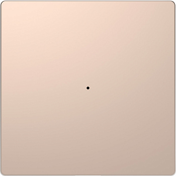 SE Merten D-Life Шампань PlusLink Клавиша 1-ая без символов MTN5210-6051