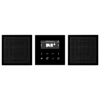 JUNG Смарт радио DAB+, стерео черный DABLS2SW