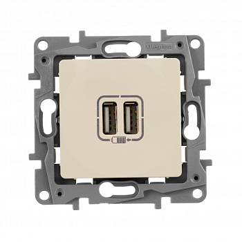 Legrand Etika Слоновая кость Розетка USB 2-ая 240В/5В 2400мА 672394