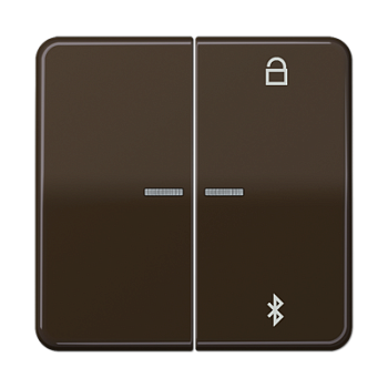 JUNG Таймер универсальный Bluetooth, коричневый CD1751BTBR