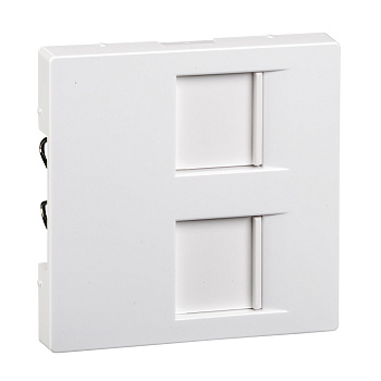 SE Merten SM Бел Актив Центральная плата 2-ая для модулей штепсельных разъемов с пылезащ. шторками MTN4562-0325